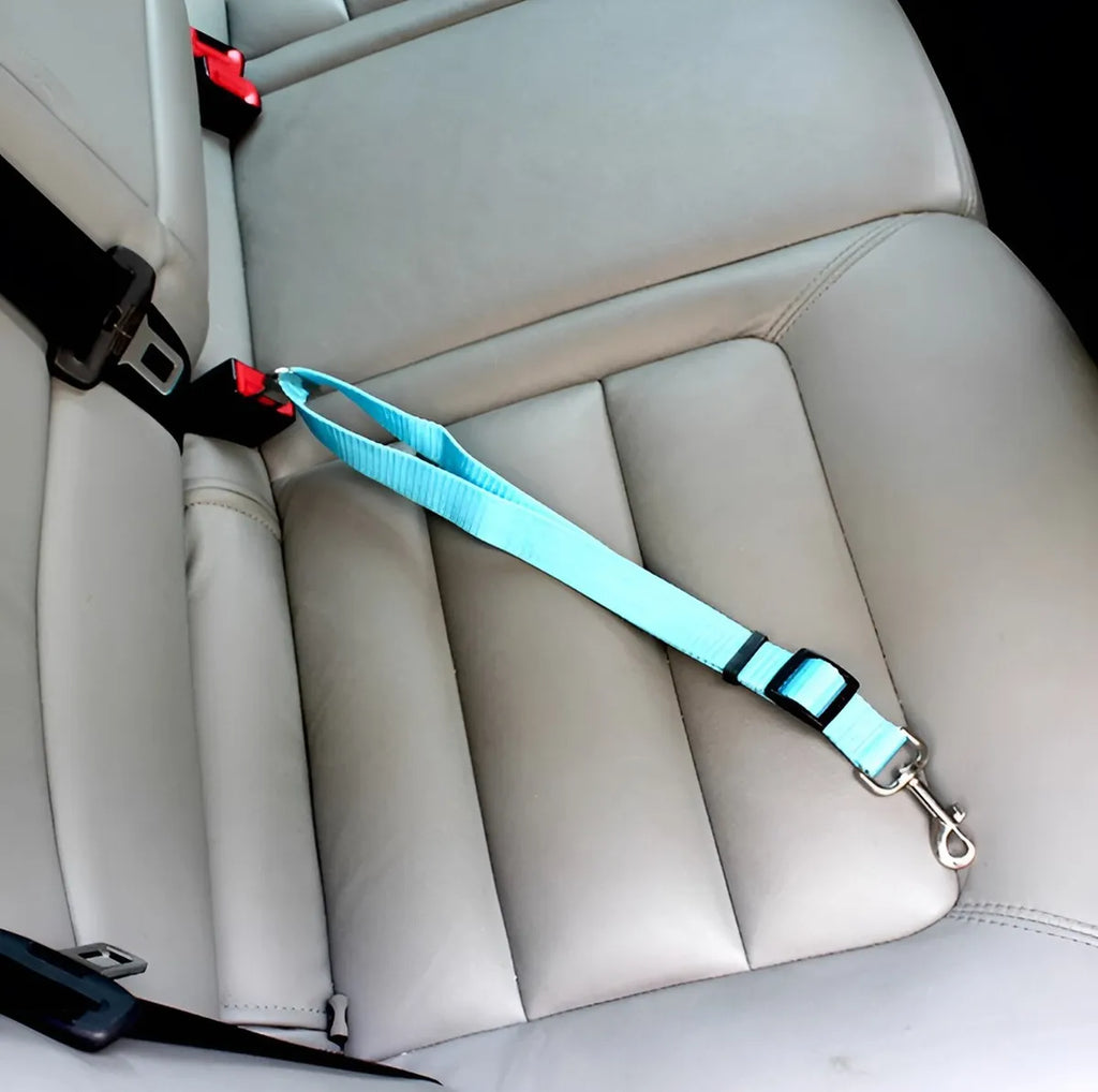 Cinturón de seguridad universal pets