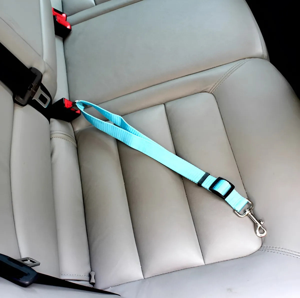 Cinturón de seguridad universal pets