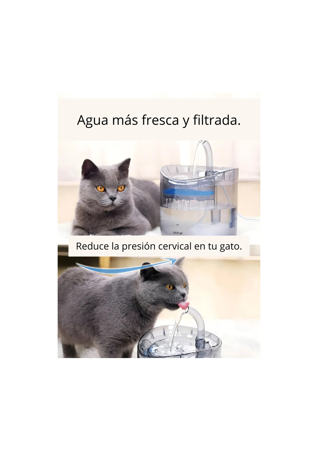 Fuente Para Gato Bebedero Para Mascotas