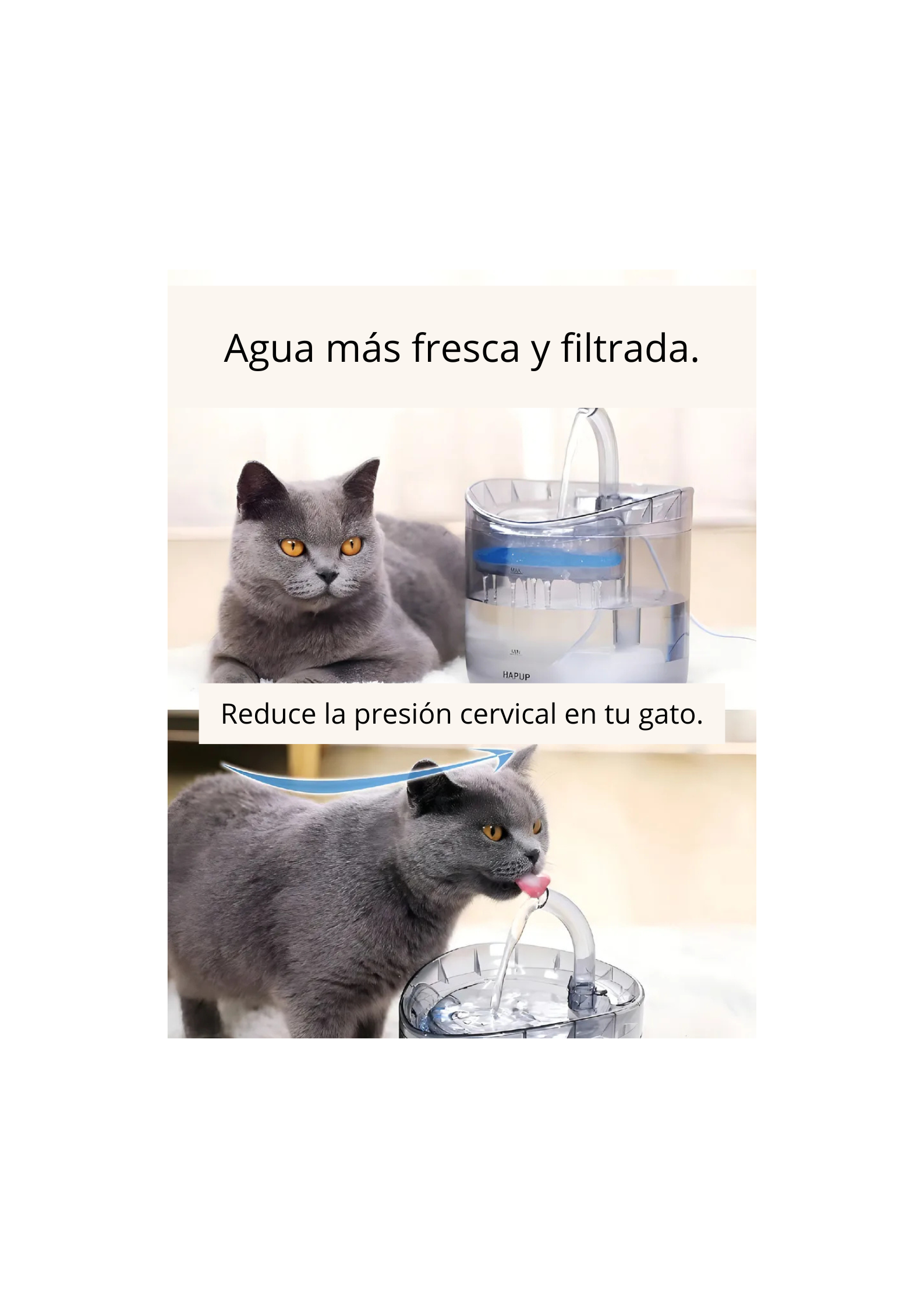 Fuente Para Gato Bebedero Para Mascotas